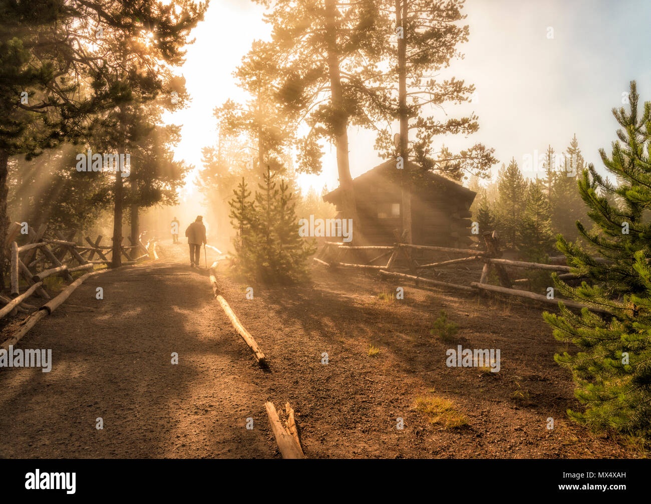 Persona escursionismo su un sentiero segnato nella nebbia mattutina con raggi di sole splendenti attraverso gli alberi, log cabin su un lato. Foto Stock