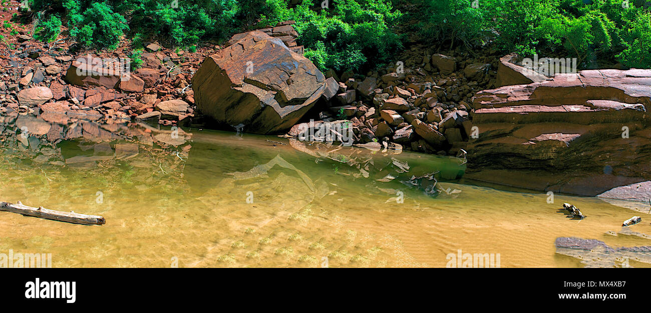 Piscina di acqua con tronco galleggiante circondata da rosse rocce di arenaria e foglie verdi. Foto Stock