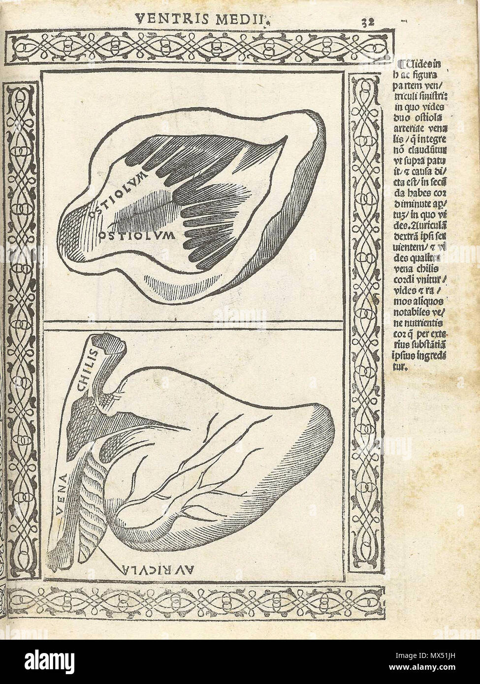 . Inglese: Berengario da Carpi, Jacopo. Isagogae breues, perlucidae ac uberrimae, in anatomiam humani corporis un communi medicorum academia usitatam. (Bologna: Beneditcus Hector, 1523). Jacopo Berengario da Carpi, noto anche come Jacobus Berengario Carpensis, Jacopo Barigazzi, o semplicemente carpo, è nato a Carpi Modena in circa 1460, figlio di un chirurgo. Mentre il giovane, egli era uno studente della stampante notato e editor, Aldus Manutius. Ha frequentato la scuola di medicina a Bologna e più successivamente ha insegnato chirurgia a Pavia, e dal 1502 al 1527 egli era sulla facoltà di Bologna a. A vari tempi, egli visse in Ferr Foto Stock