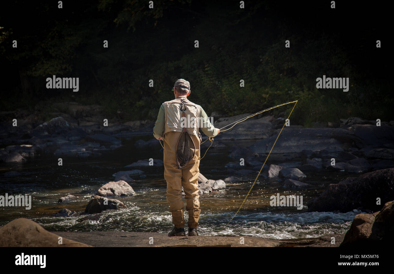 Pescatore di pesca a mosca nel Maryland Foto Stock