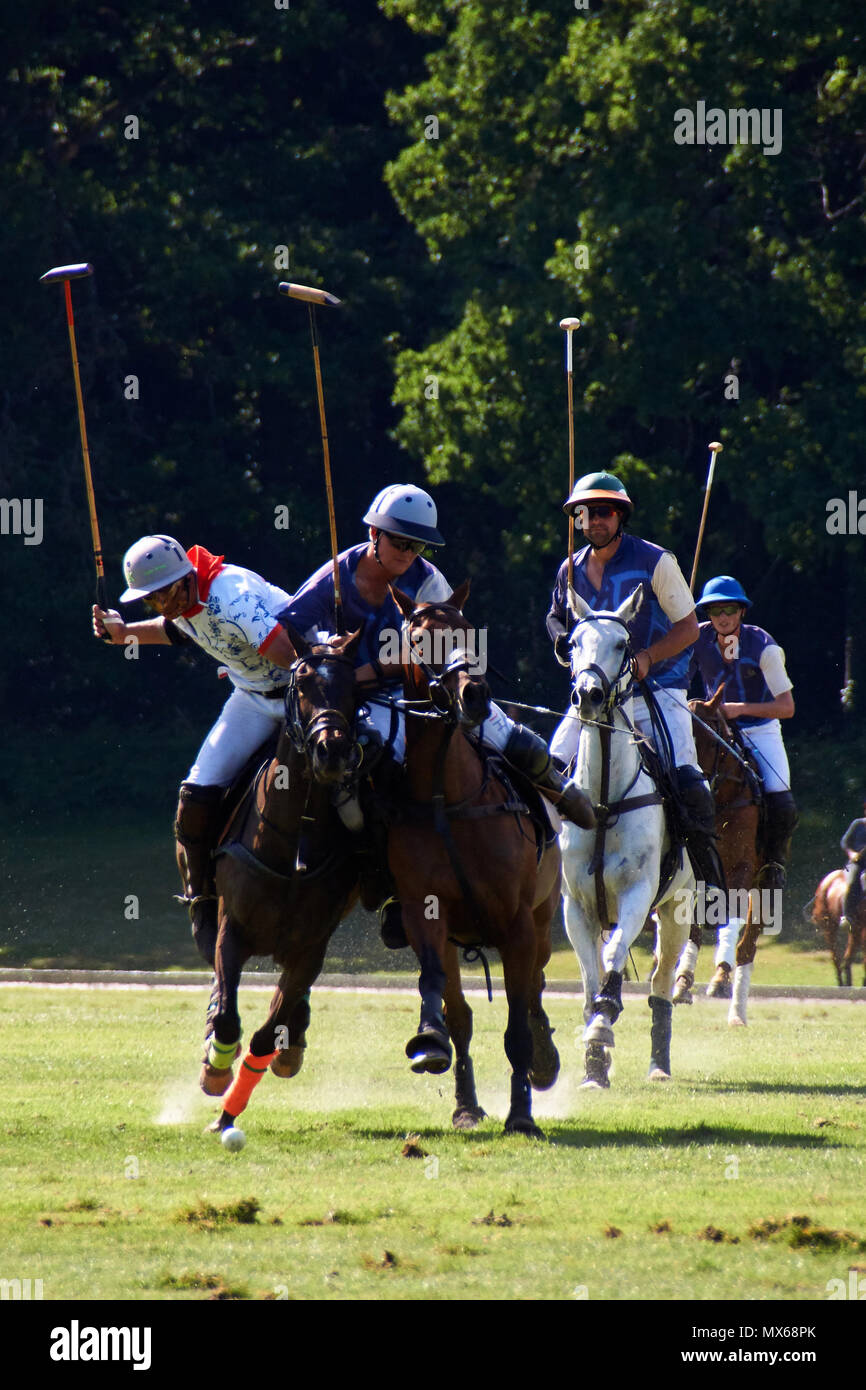 Burningfold, Regno Unito, 2 giugno, 2018. Kylin inaugurale partita di polo al Kylin Home Terra. Credito: Calvin Tan/Alamy Live News Foto Stock