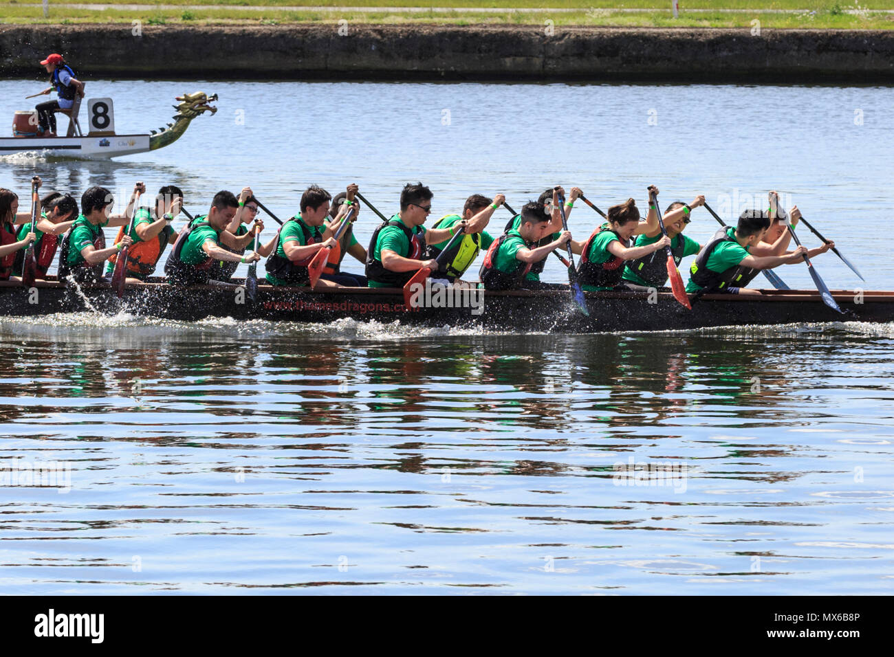 London Regatta Centre di Londra, Regno Unito. Il 3 giugno 2018. L annuale London Hong Kong Dragon Boat Festival avrà luogo a Londra il Regatta Centre in Docklands, in splendido sole. L'evento prevede le gare delle barche drago tutto il giorno, nonché gratuitamente un programma di eventi con spettacoli, musica, intrattenimento e bancarelle e opportunità di sperimentare la cultura cinese. Credito: Imageplotter News e sport/Alamy Live News Foto Stock