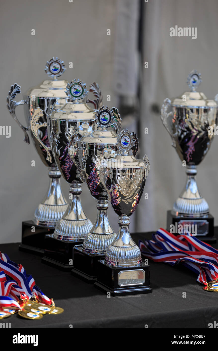 London Regatta Centre di Londra, Regno Unito. Il 3 giugno 2018. L annuale London Hong Kong Dragon Boat Festival avrà luogo a Londra il Regatta Centre in Docklands, in splendido sole. L'evento prevede le gare delle barche drago tutto il giorno, nonché gratuitamente un programma di eventi con spettacoli, musica, intrattenimento e bancarelle e opportunità di sperimentare la cultura cinese. Credito: Imageplotter News e sport/Alamy Live News Foto Stock