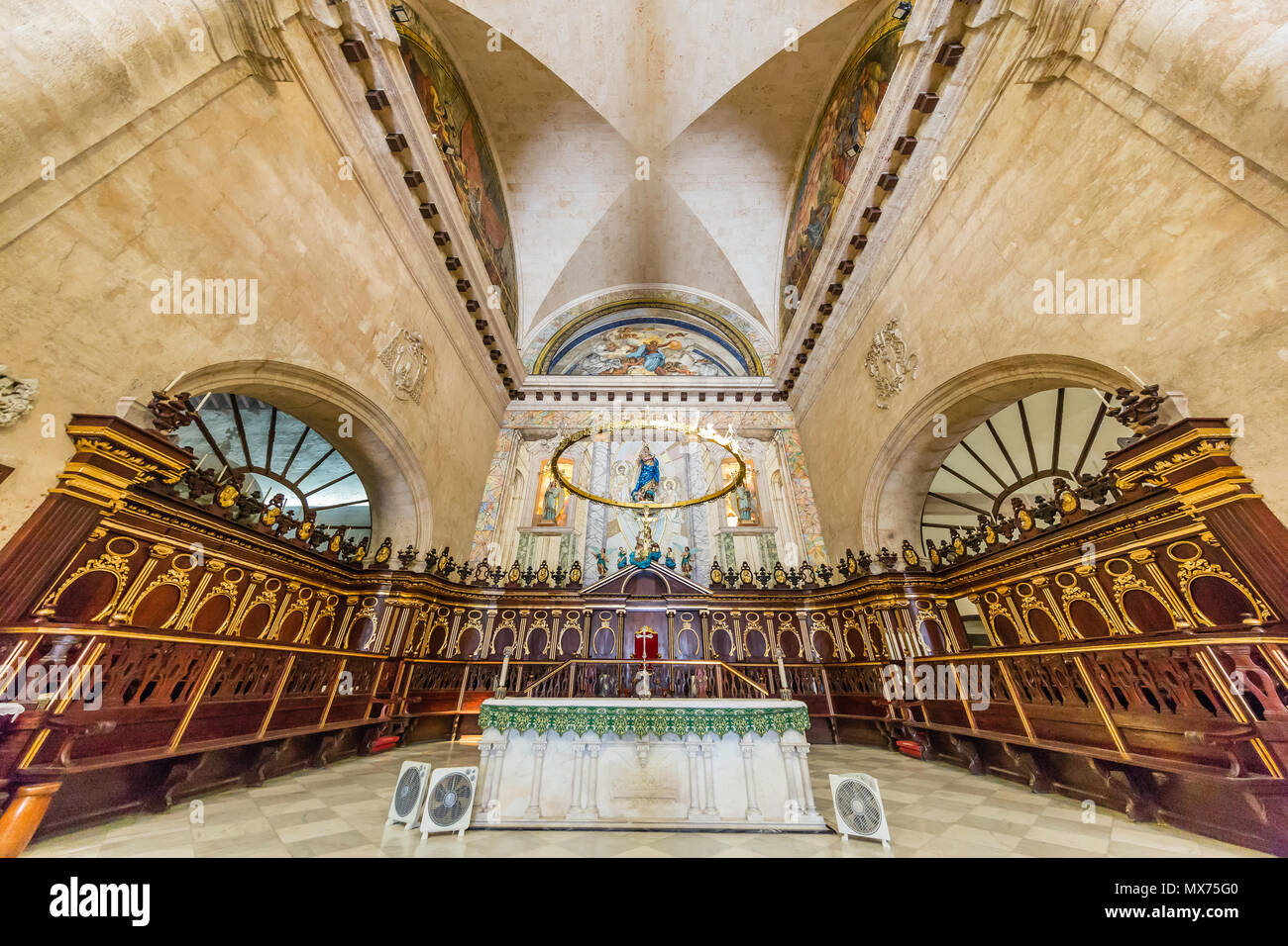 Vista interna della Cattedrale dell Immacolata Concezione di Maria Vergine nella Plaza de la Catedral,l'Avana, Cuba Foto Stock