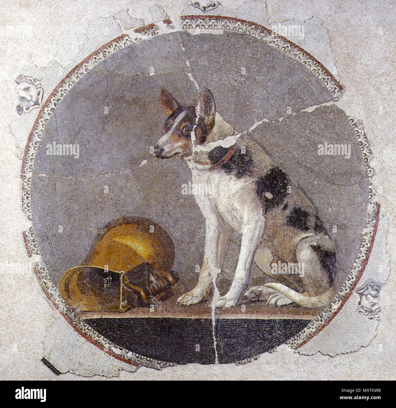 . Inglese: il II secolo a.c. mosaico da Alessandria d'Egitto di un cane e un bricco. 100 BC. Sconosciuto 166 Dog-Mosaic Foto Stock