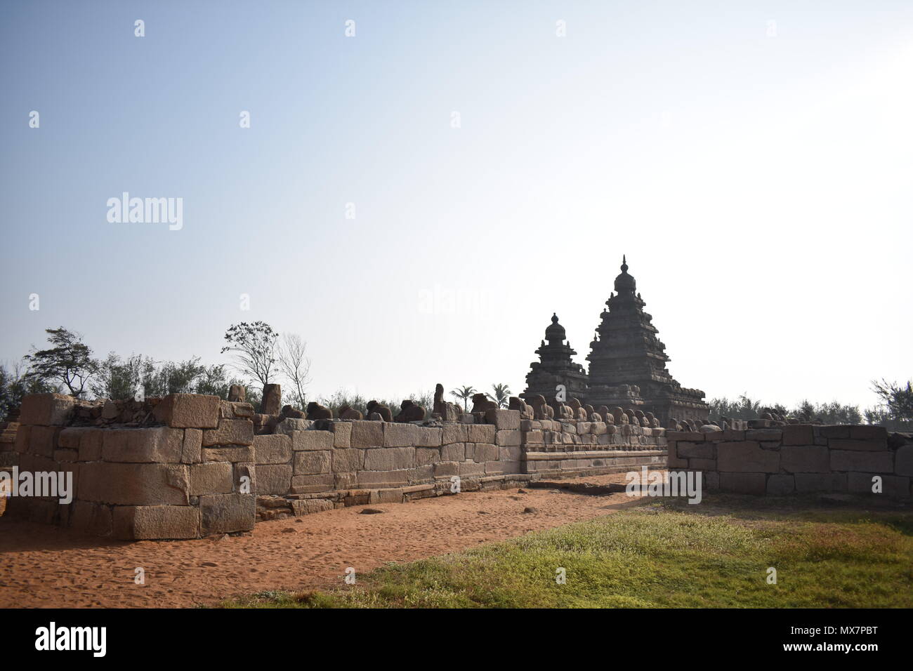 Il Tempio Shore è chiamato così perché si affaccia sulla costa del Golfo del Bengala. Si tratta di un tempio strutturale, costruito con blocchi di granito. Foto Stock