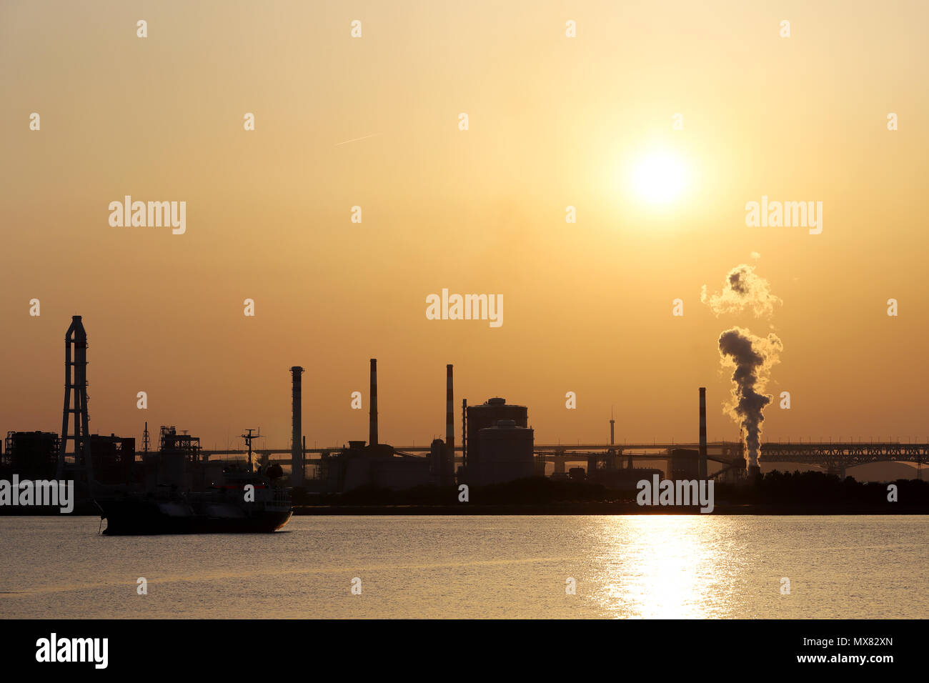 Paesaggio al tramonto la pianta e vista mare Foto Stock