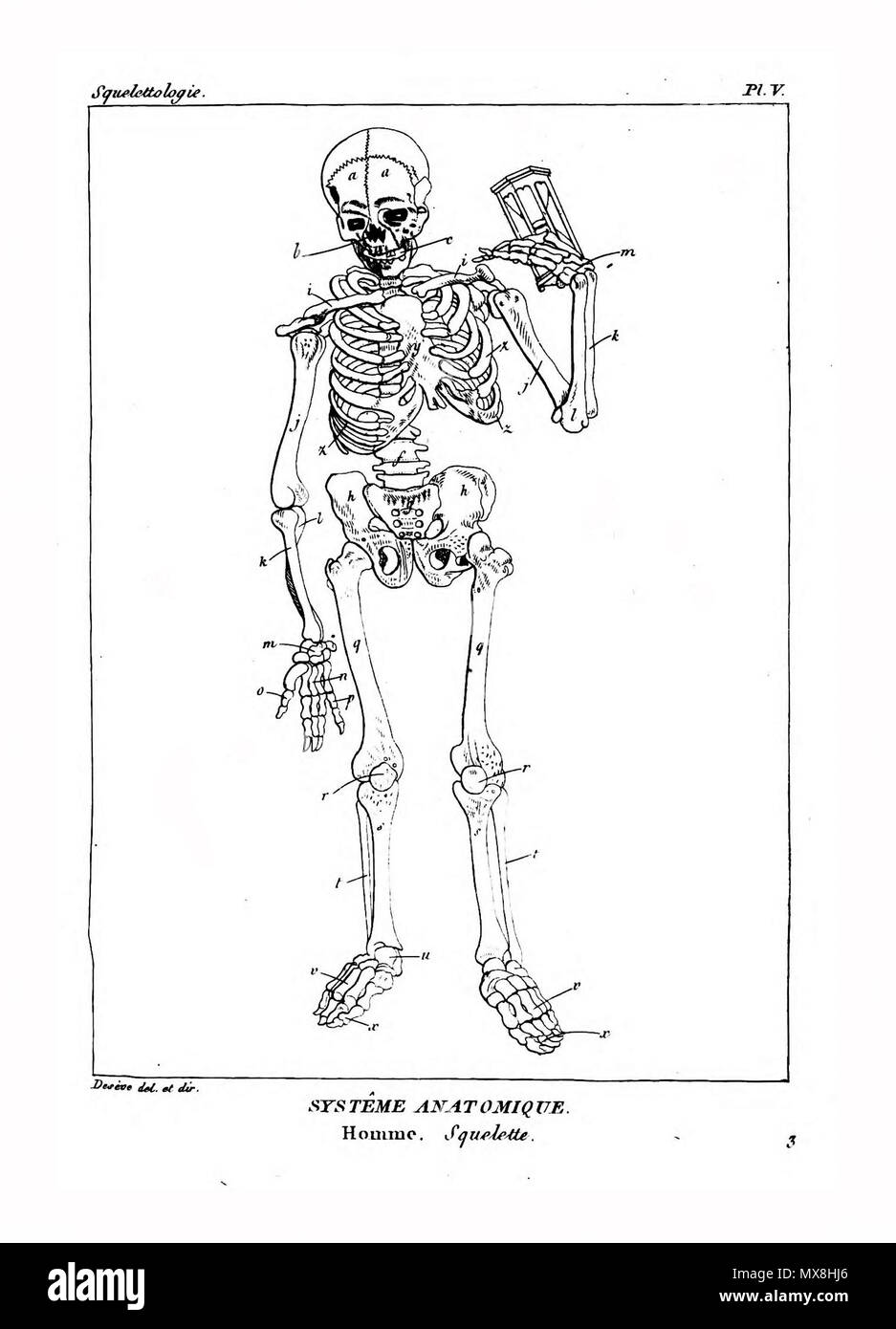 190 Encyclopédie méthodique - Systeme Anatomique, PL5 Foto Stock