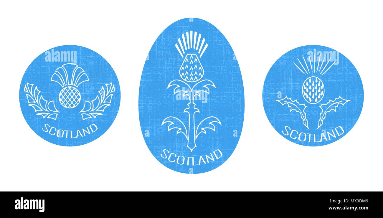 Giorno di indipendenza della Scozia. 24 giugno. Concetto di una festività nazionale. Rotondo e ovale emblema con un thistle. Sfondo bianco. La consistenza del tessuto Illustrazione Vettoriale