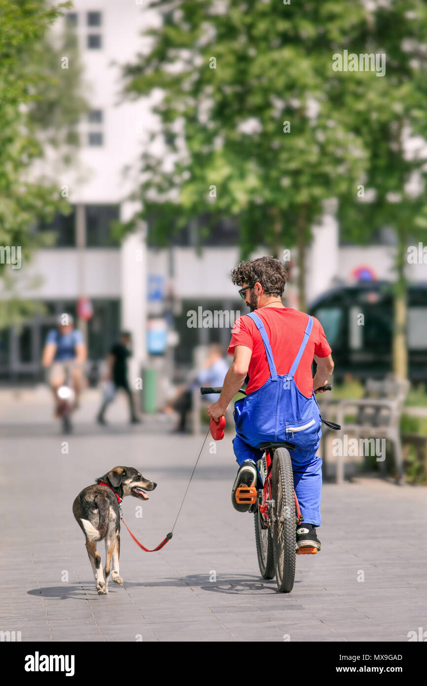 Anversa-Maggio 21, 2018. Uomo in bicicletta con il suo cane al guinzaglio nel centro di Anversa. In Belgio è proibita per ciclo con un cane al guinzaglio. Foto Stock