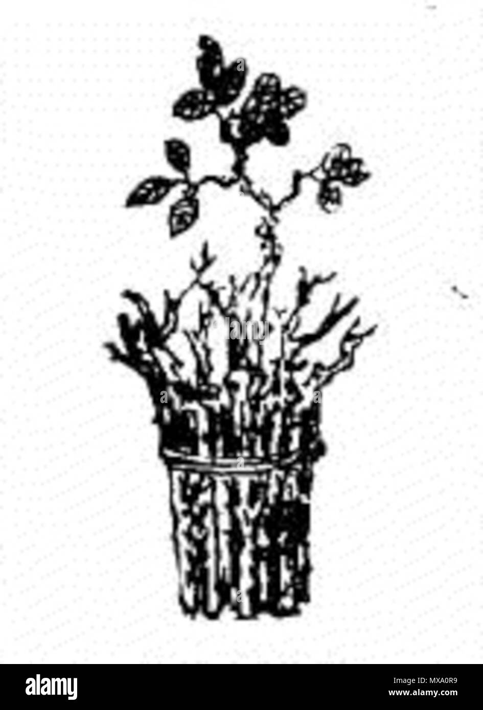 . 中文（简体）‎: 用于描述文字所说的内容 . Il 19 ottobre 2007. 袁天罡、李淳风所著 589 Tbt-14 Foto Stock
