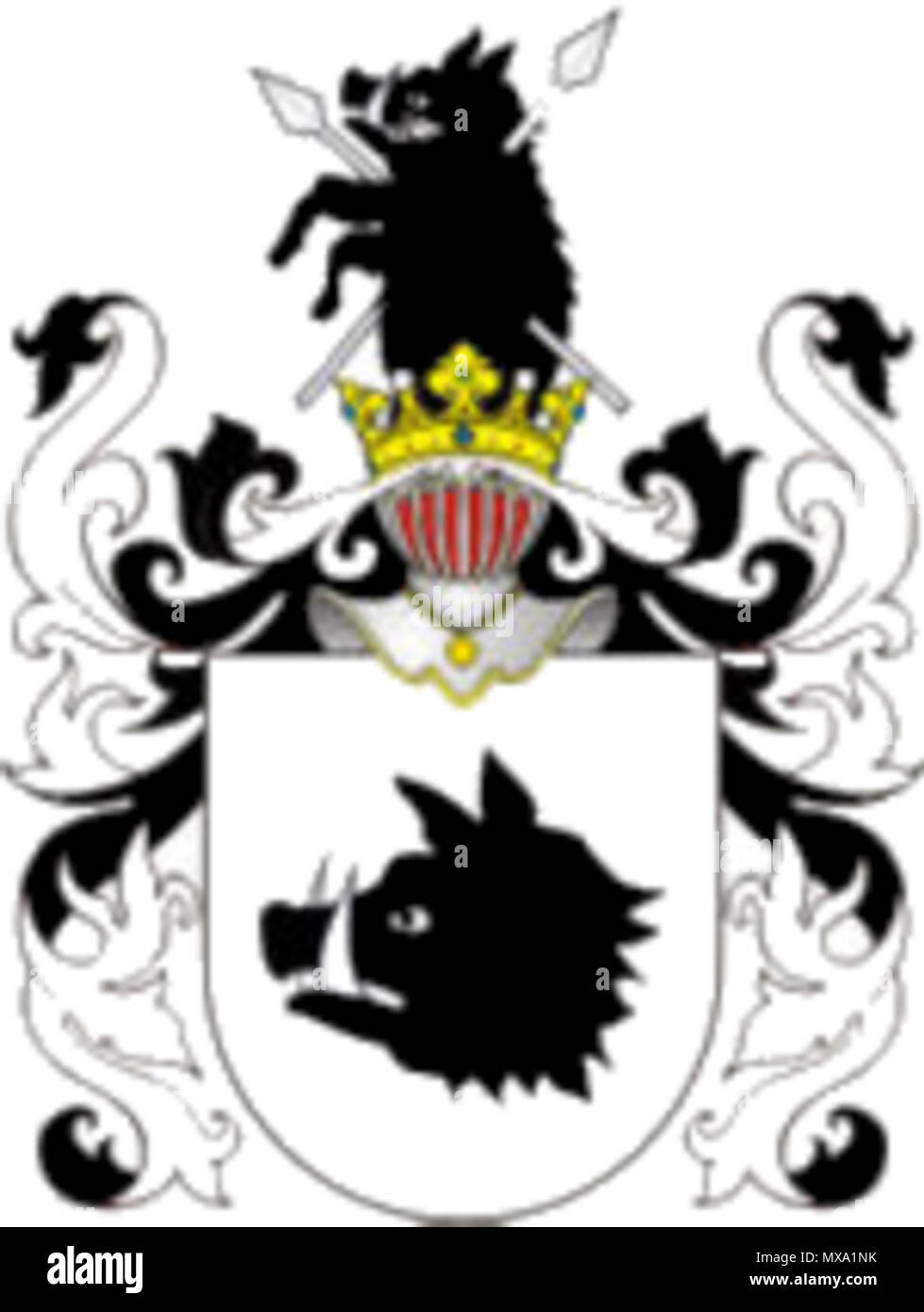 . Herb Dzik . Data sconosciuta. Sconosciuto 275 Dzik alle erbe Foto Stock