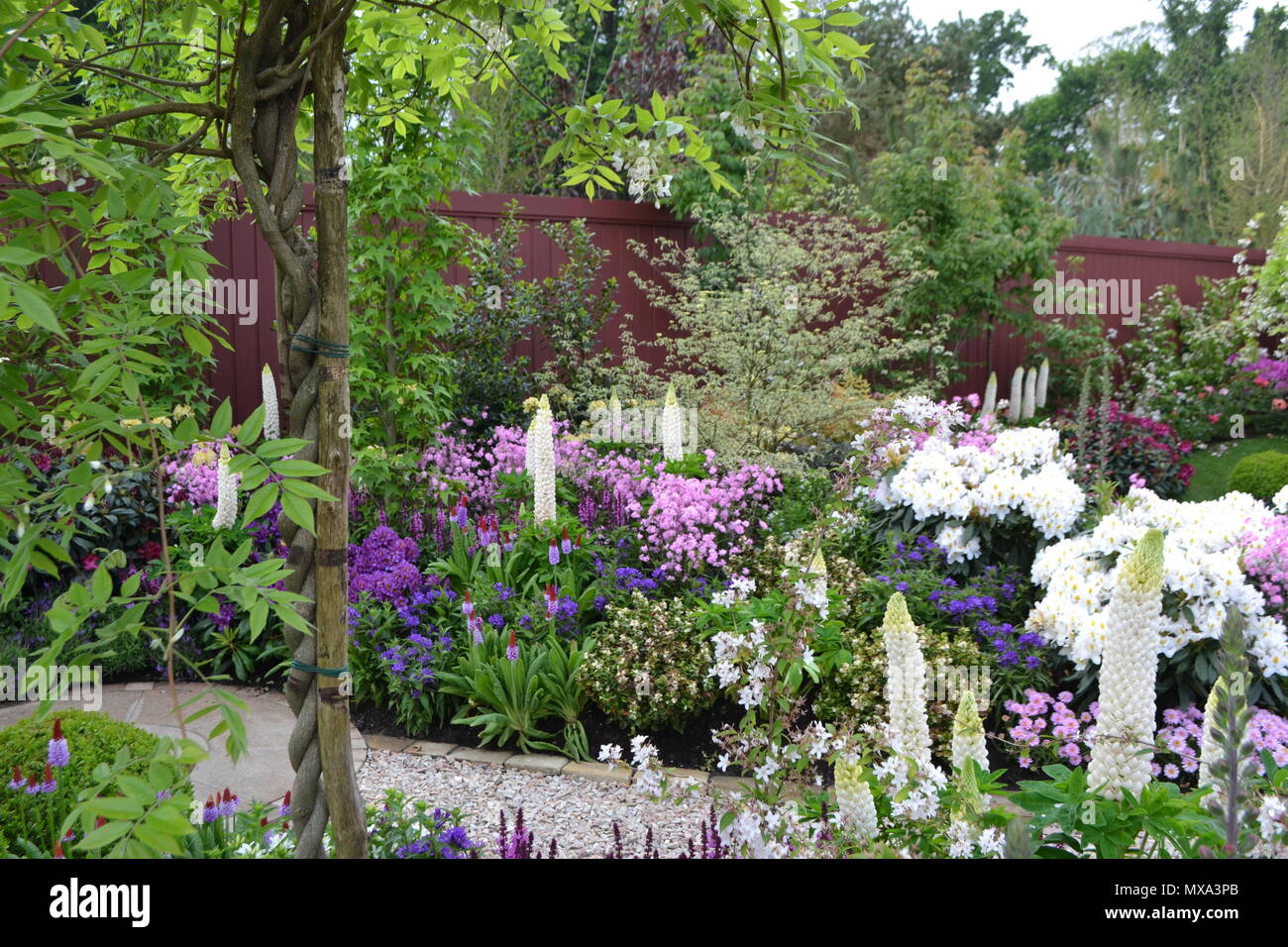 Fiore in fiore parco e giardino mostra, Dublino, Irlanda 2018. dettagli di piantagione a nostra Signora di ospedale infantile Crumlin GARDEN Foto Stock