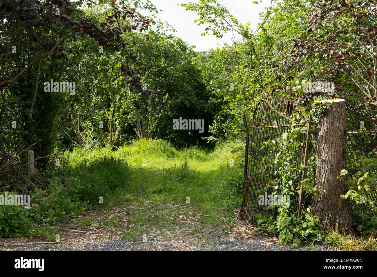 Abbandonata, rotte cancello in Roeselare, Belgio Foto Stock
