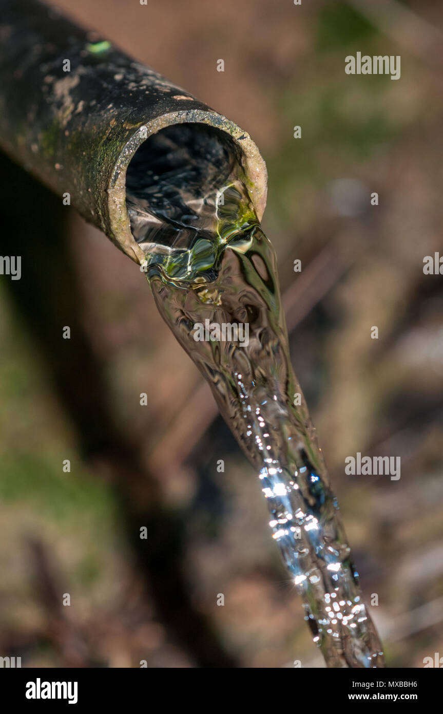 L'acqua uscente da un tubo di plastica Foto Stock