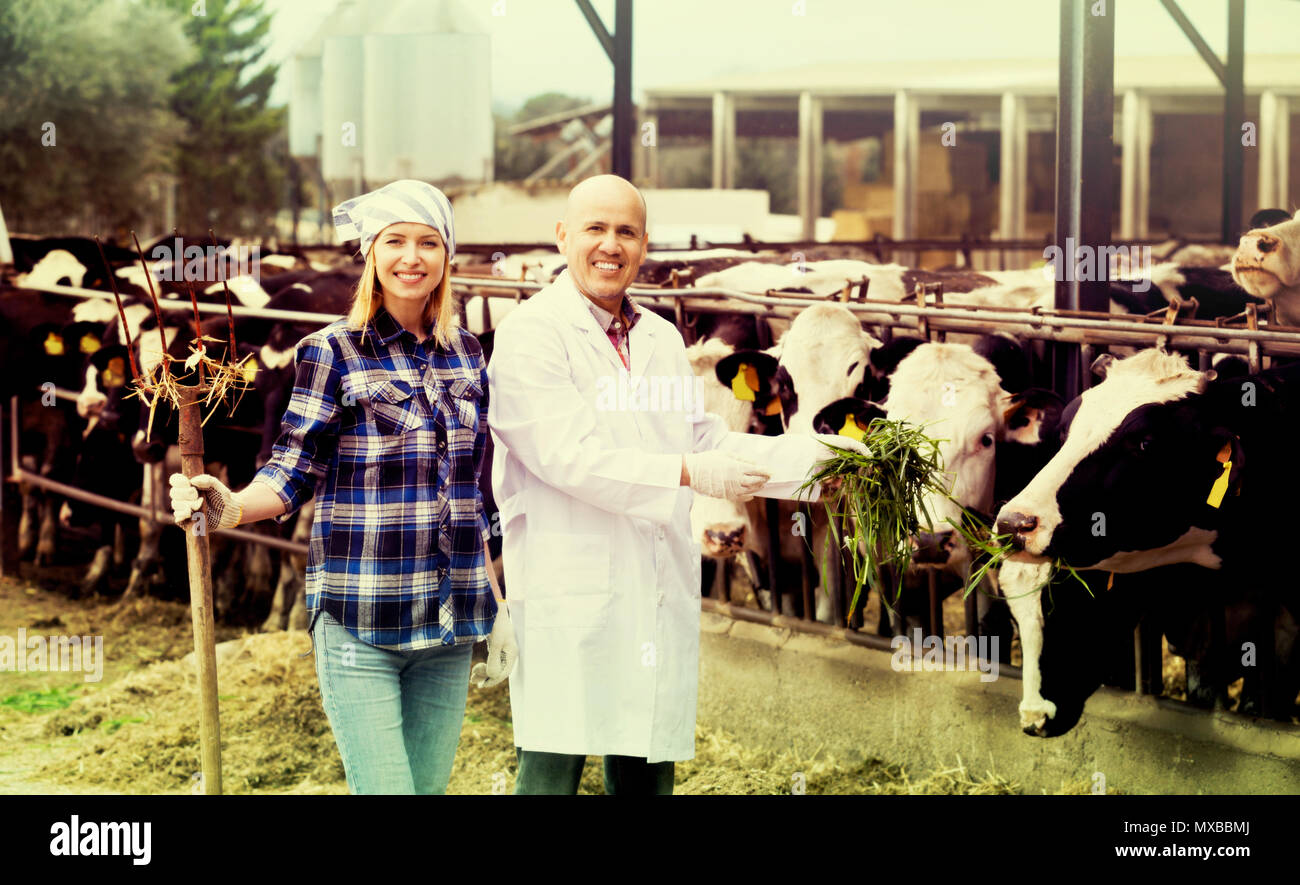 Ritratto di due lavoratori di veterinari lavora con latte di mucche vaccheria all'aperto Foto Stock