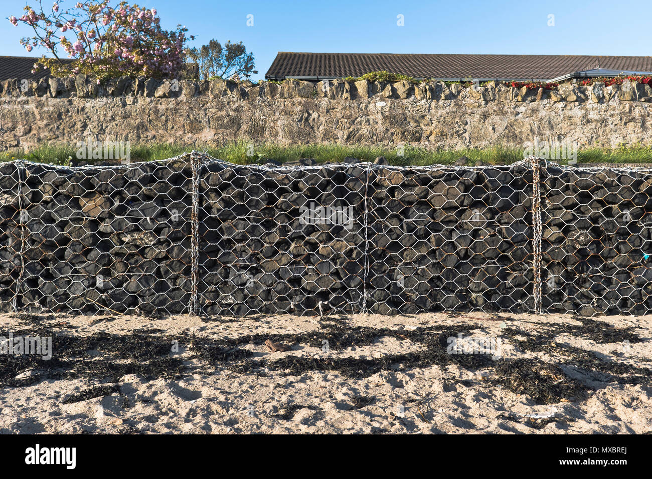 dh Gabion cesti MARE DIFESE UK Seawall costa difesa gabioni gabbie mantenendo muro spiaggia Scozia a fife erosione costiero filo basket rocce difese Foto Stock