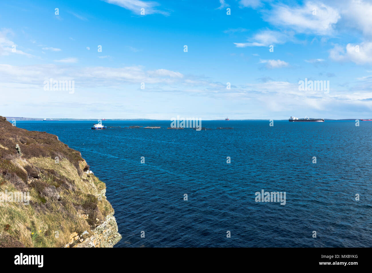 Dh Breckness ORPHIR ORKNEY Scapa fishfarm flusso gabbie ancorate petroliere oil rig platform fattoria di pesce Foto Stock