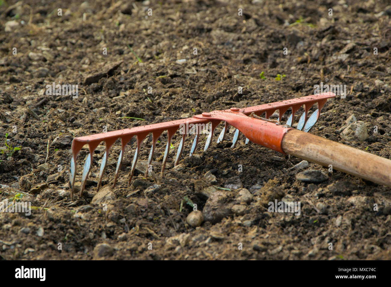Il rastrello nel suolo, giardinaggio/agricolo di strumento di lavoro, lo  spazio per il testo Foto stock - Alamy
