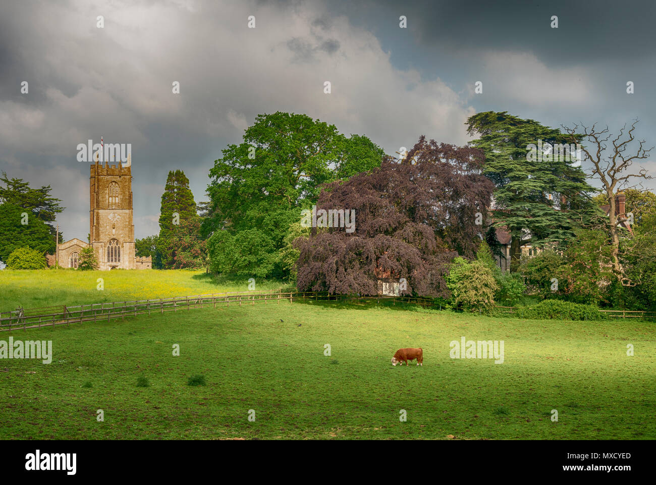 Xii secolo la chiesa della Santissima Trinità in Wickwar, South Gloucestershire, Regno Unito Foto Stock