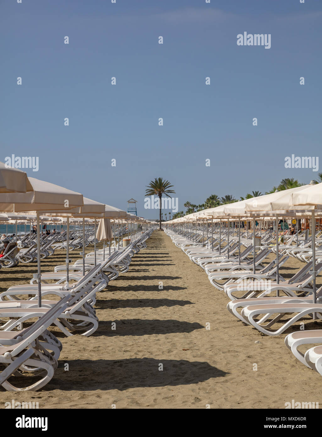 Larnaca, Cipro, Makenzie beach. Vuoto di sedie a sdraio e ombrelloni sulla sabbia Foto Stock