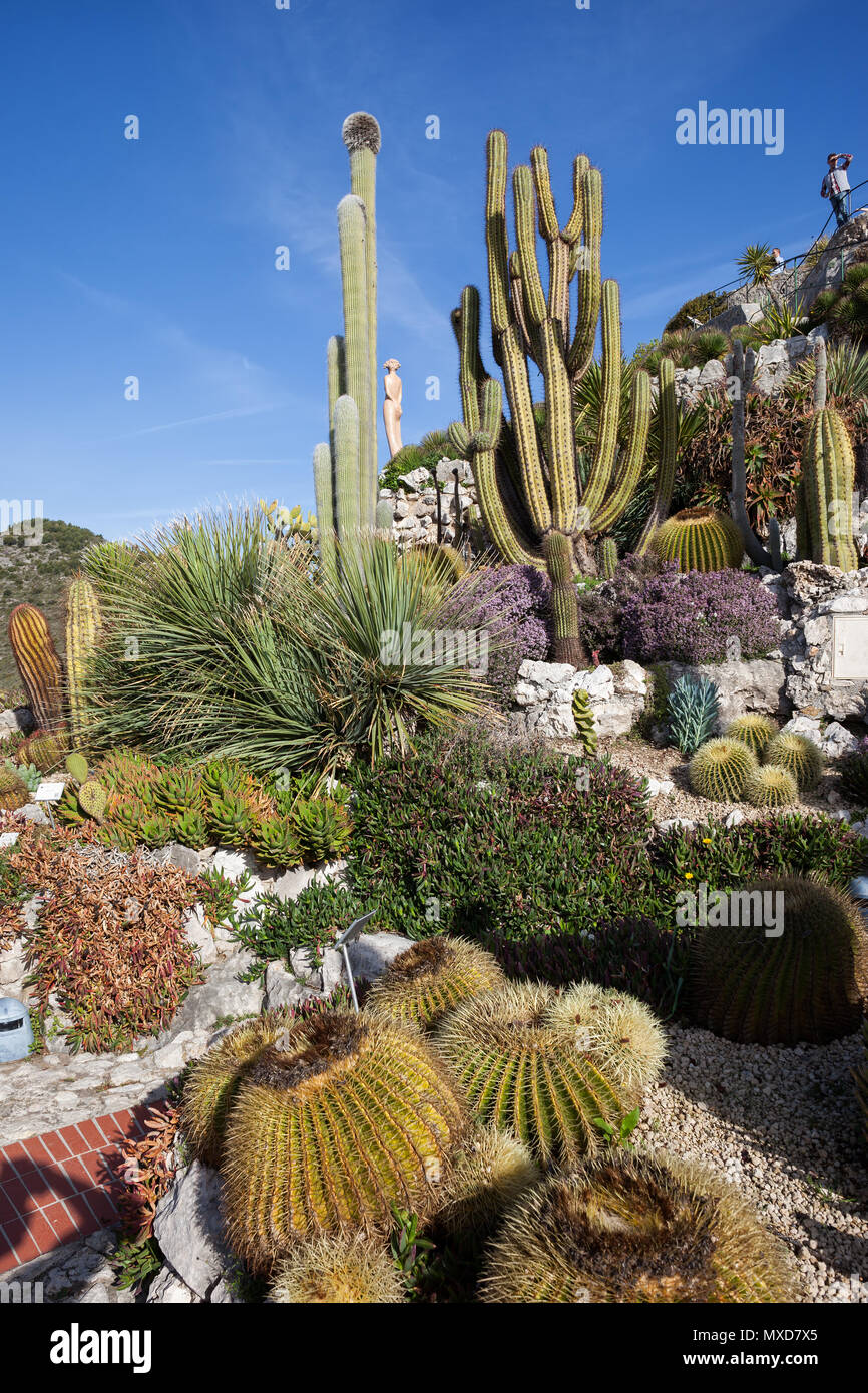 Giardino Botanico - Jardin Exotique a Eze Village, Francia Costa Azzurra - Cote d'Azur Foto Stock