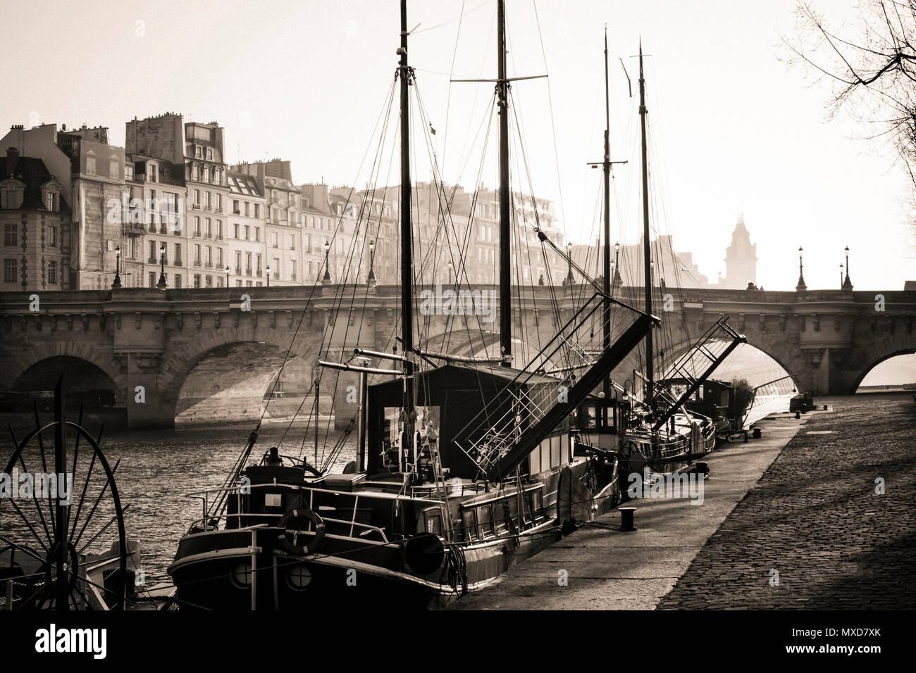 Pont Neuf e l'Ile de la Cite a Parigi, in Francia, in Europa Foto Stock