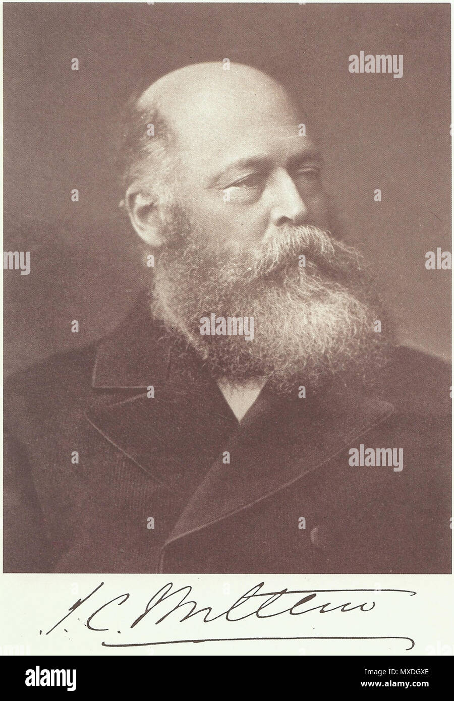 . Inglese: l'onorevole Sir John Charles Molteno. Il primo ministro del capo. Fotografia scattata nel 1872. 1872. P. A. Molteno. 561 Sir John Charles Molteno - Primo ministro - Sud Africa - 1872 Foto Stock