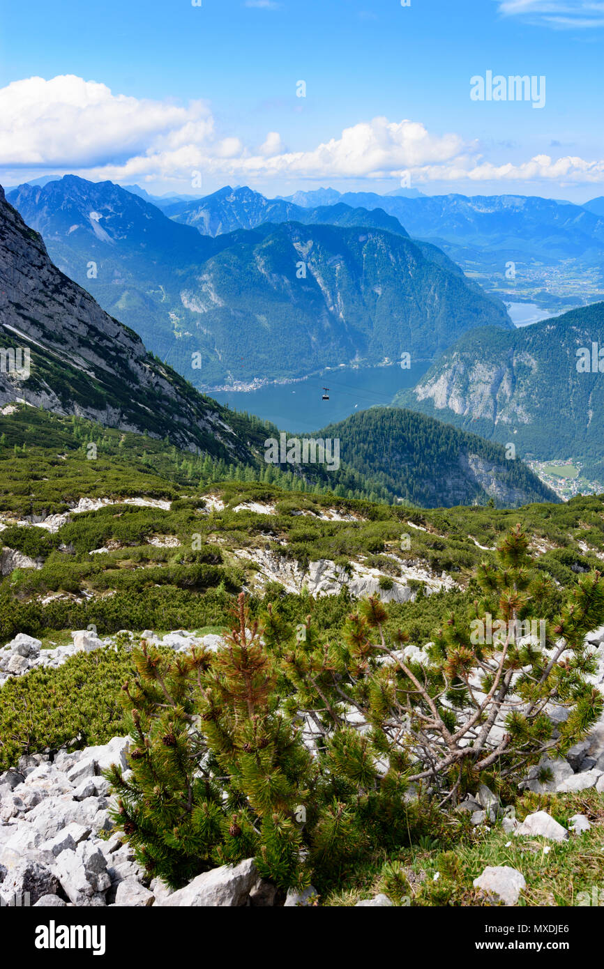 Hallstatt: Hallstätter vedere (Hallstatt, lago Hallstatt)), città di Hallstatt, cavo auto in Austria, Oberösterreich, Austria superiore, regione del Salzkammergut Foto Stock