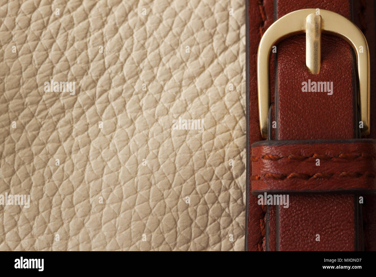 Dettaglio della borsa beige con spazio per il testo Foto Stock