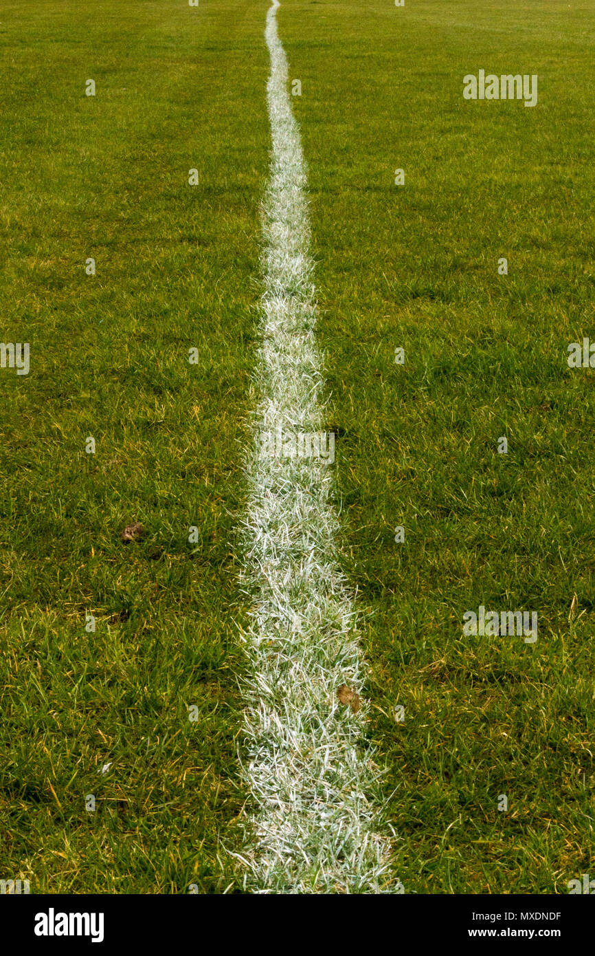 La linea bianca sul gras su un campo di calcio o campo sportivo in Inghilterra Foto Stock
