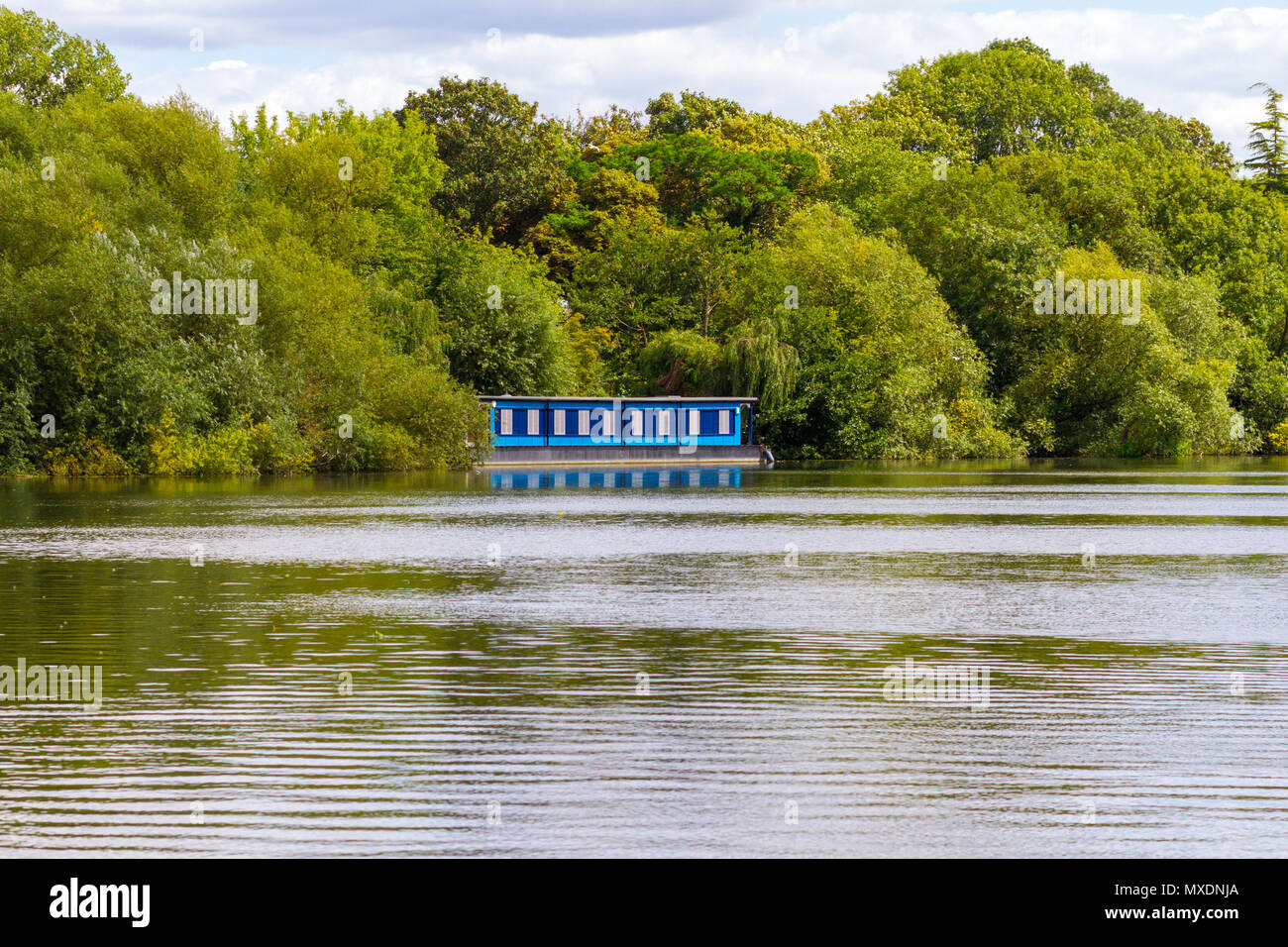 Houseboat blu tutti solo sull'acqua racchiusi da verdi alberi e altre fogliame Foto Stock