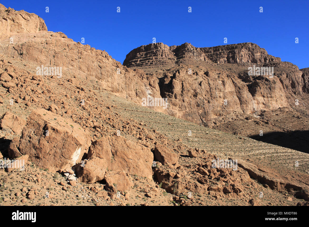 Valle del Todra Marocco Foto Stock