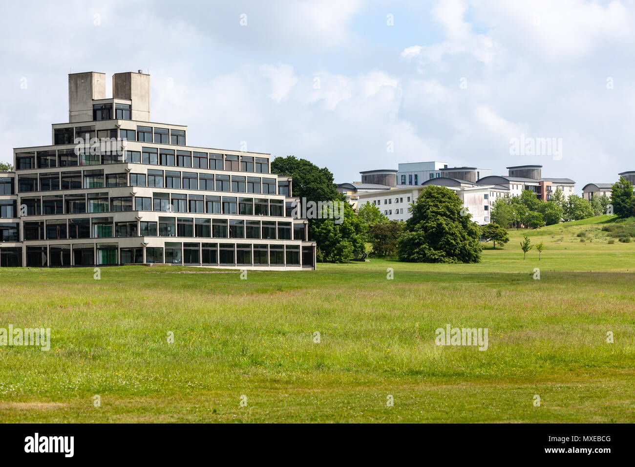 Vista della UEA Ziggurat campus University of East Anglia norwich alloggi per studenti Foto Stock