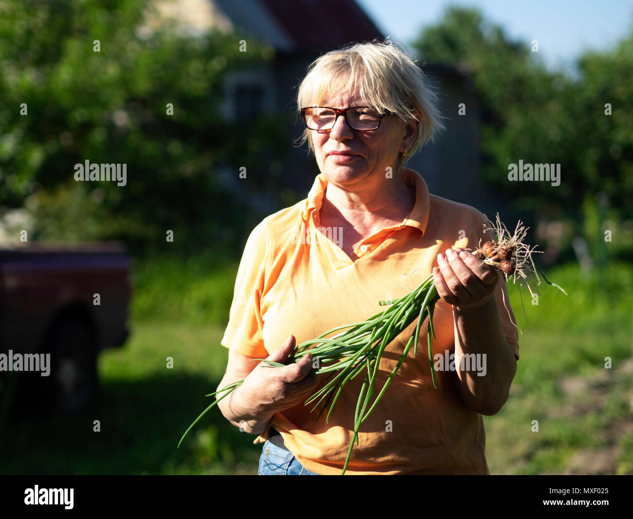 Di mezza età donna caucasica con un raccolto di giovani cipolle in mani Foto Stock