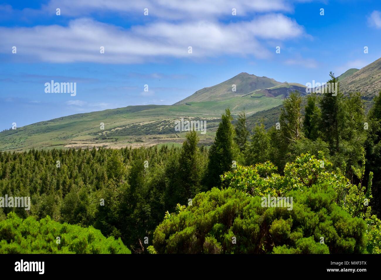 Scenario mozzafiato sull isola Pico nelle Azzorre Foto Stock