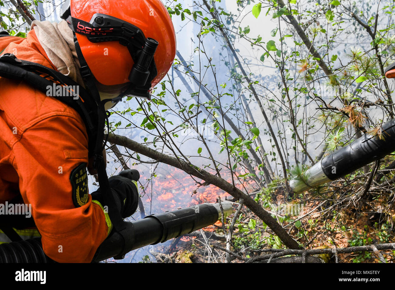 Genhe. Il 4 giugno, 2018. Un vigile del fuoco si estingue il fuoco in un incendio nella Hanma riserva naturale nazionale del nord della Cina di Mongolia Interna Regione Autonoma, Giugno 4, 2018. Un incendio di foresta che scoppiò in Mongolia Interna Regione Autonoma ha diffuso verso la vicina provincia di Heilongjiang, incendio locale hanno detto le autorità lunedì. Più di 3.600 i vigili del fuoco e polizia forestale e di voci di grandi attrezzature antincendio sono stati mobilitati. Credito: Liu Lei/Xinhua/Alamy Live News Foto Stock