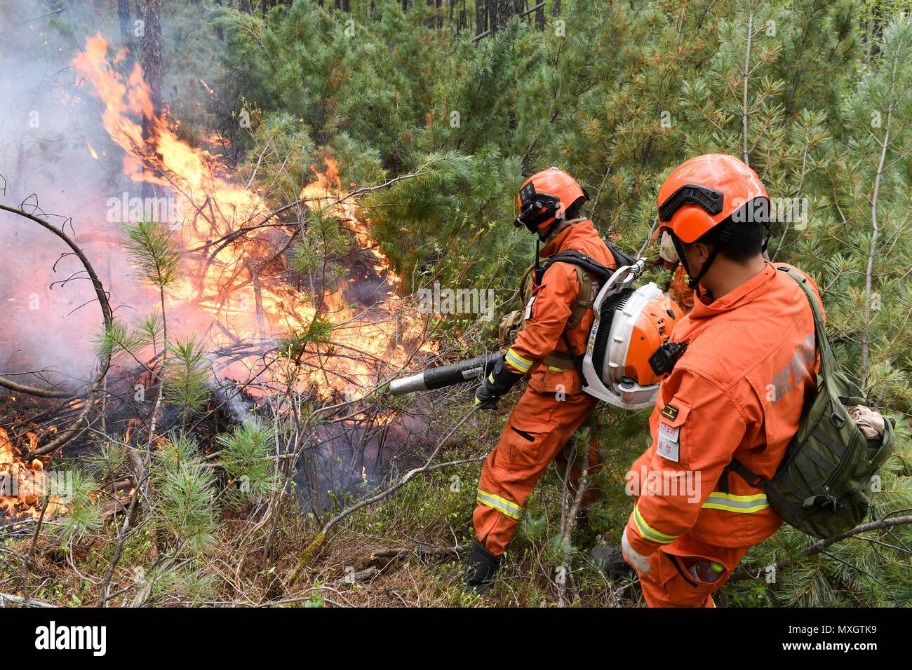 Genhe. Il 4 giugno, 2018. I vigili del fuoco di spegnere un incendio in un sito di fuoco nel Hanma riserva naturale nazionale del nord della Cina di Mongolia Interna Regione Autonoma, Giugno 4, 2018. Un incendio di foresta che scoppiò in Mongolia Interna Regione Autonoma ha diffuso verso la vicina provincia di Heilongjiang, incendio locale hanno detto le autorità lunedì. Più di 3.600 i vigili del fuoco e polizia forestale e di voci di grandi attrezzature antincendio sono stati mobilitati. Credito: Liu Lei/Xinhua/Alamy Live News Foto Stock