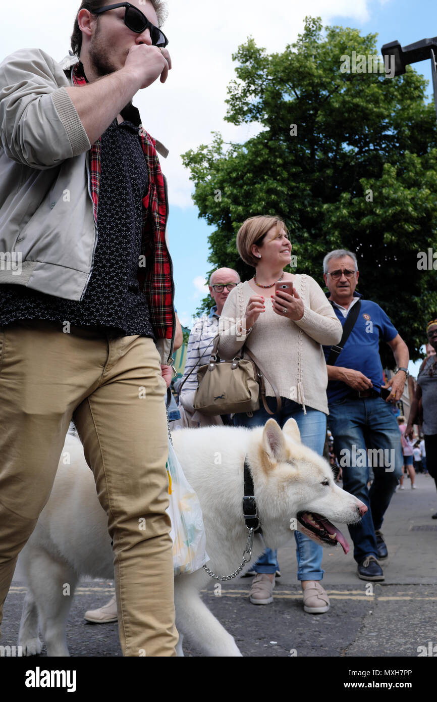 Uomo che cammina grande cane bianco & vaping in Camden, London, England, Regno Unito Foto Stock