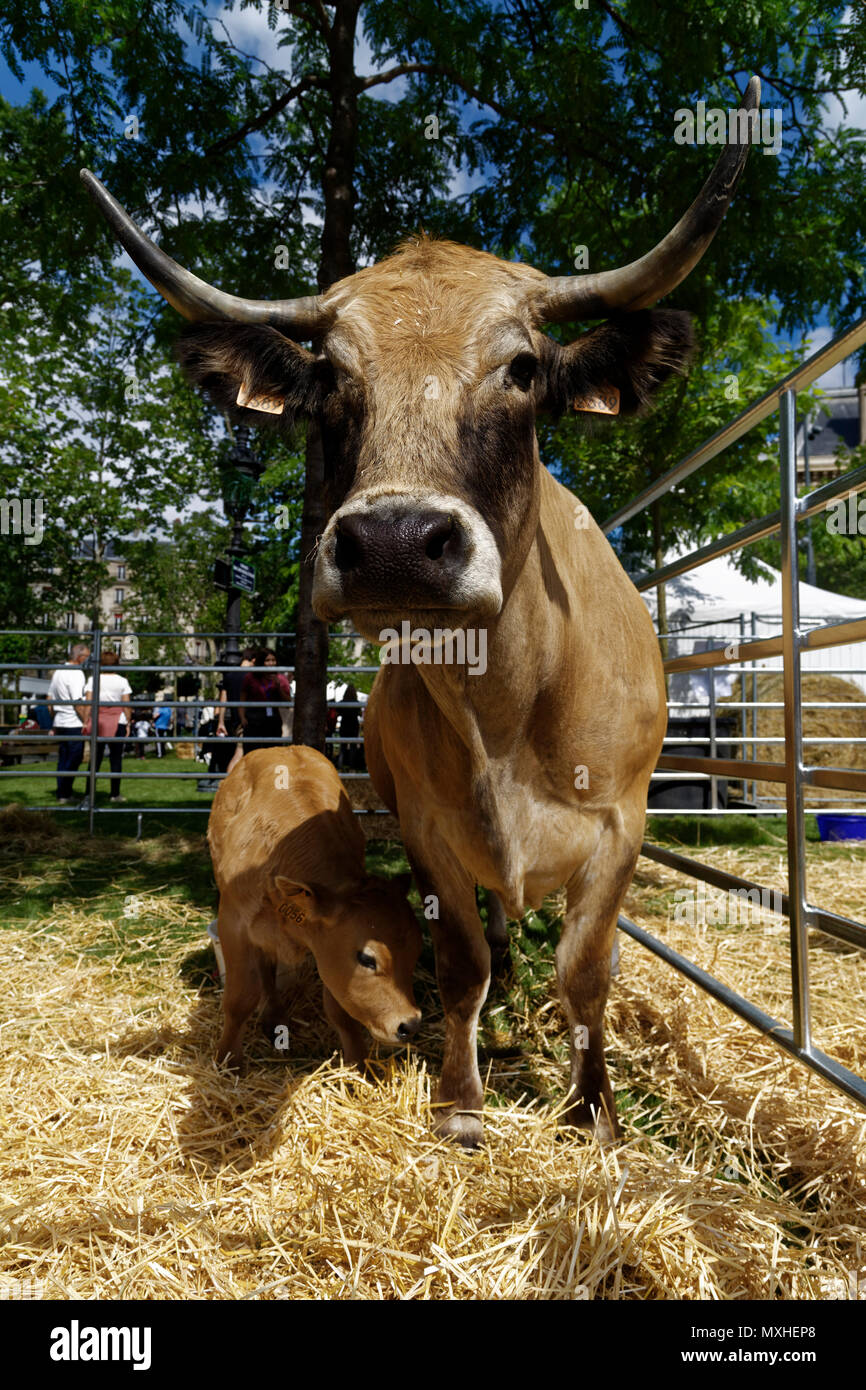 Parigi, Francia. Il 2 giugno, 2018. Deuxième édition de BiodiversiTerre , un 2,5 ettaro impianto creato dall'artista Gad Weil. Foto Stock