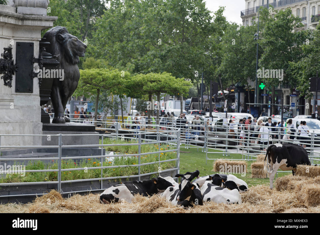 Parigi, Francia. Il 2 giugno, 2018. Deuxième édition de BiodiversiTerre , un 2,5 ettaro impianto creato dall'artista Gad Weil. Foto Stock