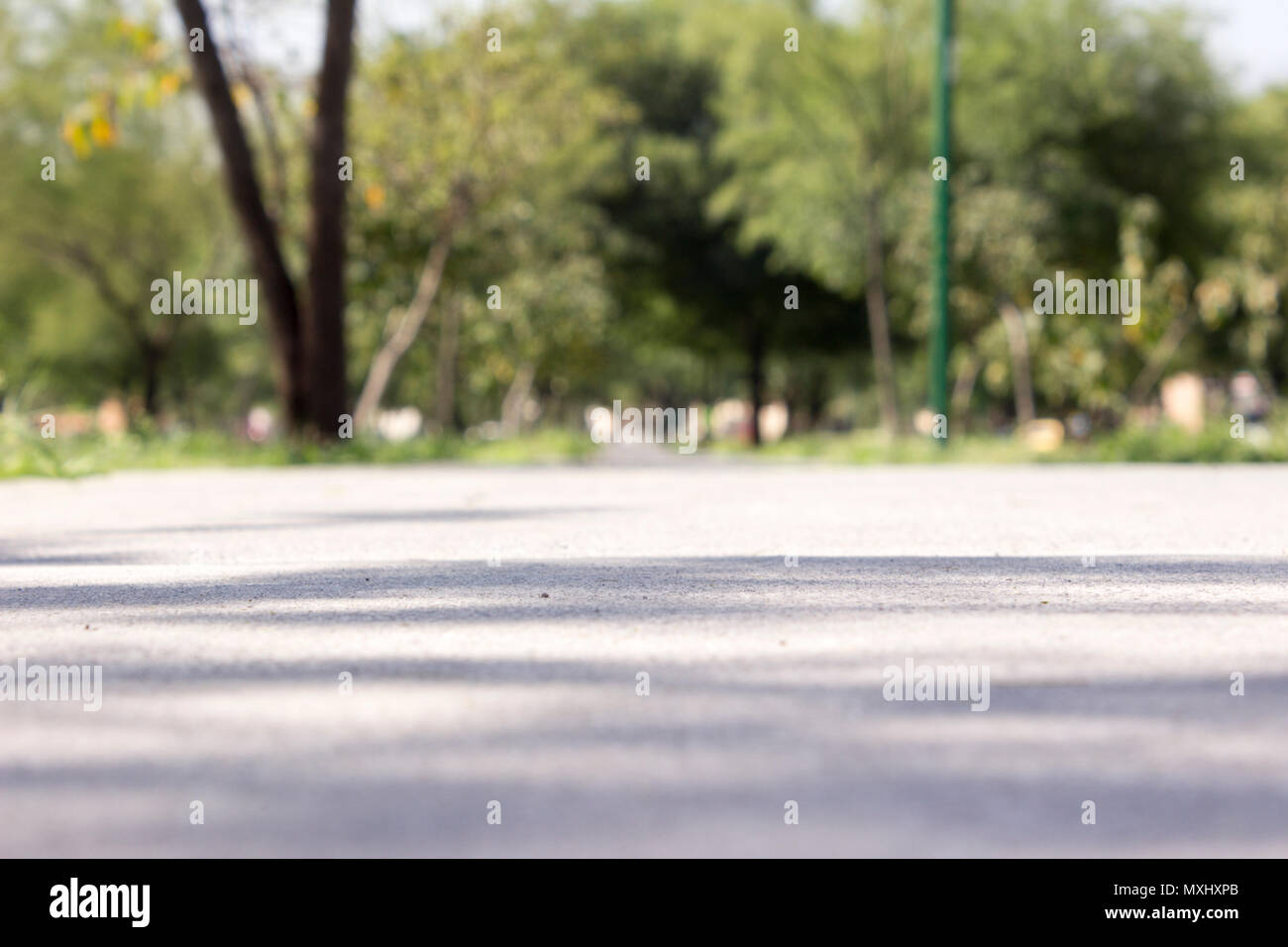 Il livello superficiale colpo di un parco a piedi con lo sfondo sfocato. Foto Stock