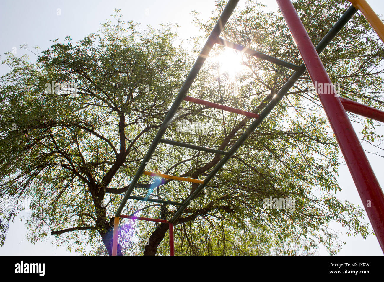 Colorate laddder orizzontali o barre di scimmia sotto la luce del sole in un parco, accanto ad un grande albero. Foto Stock