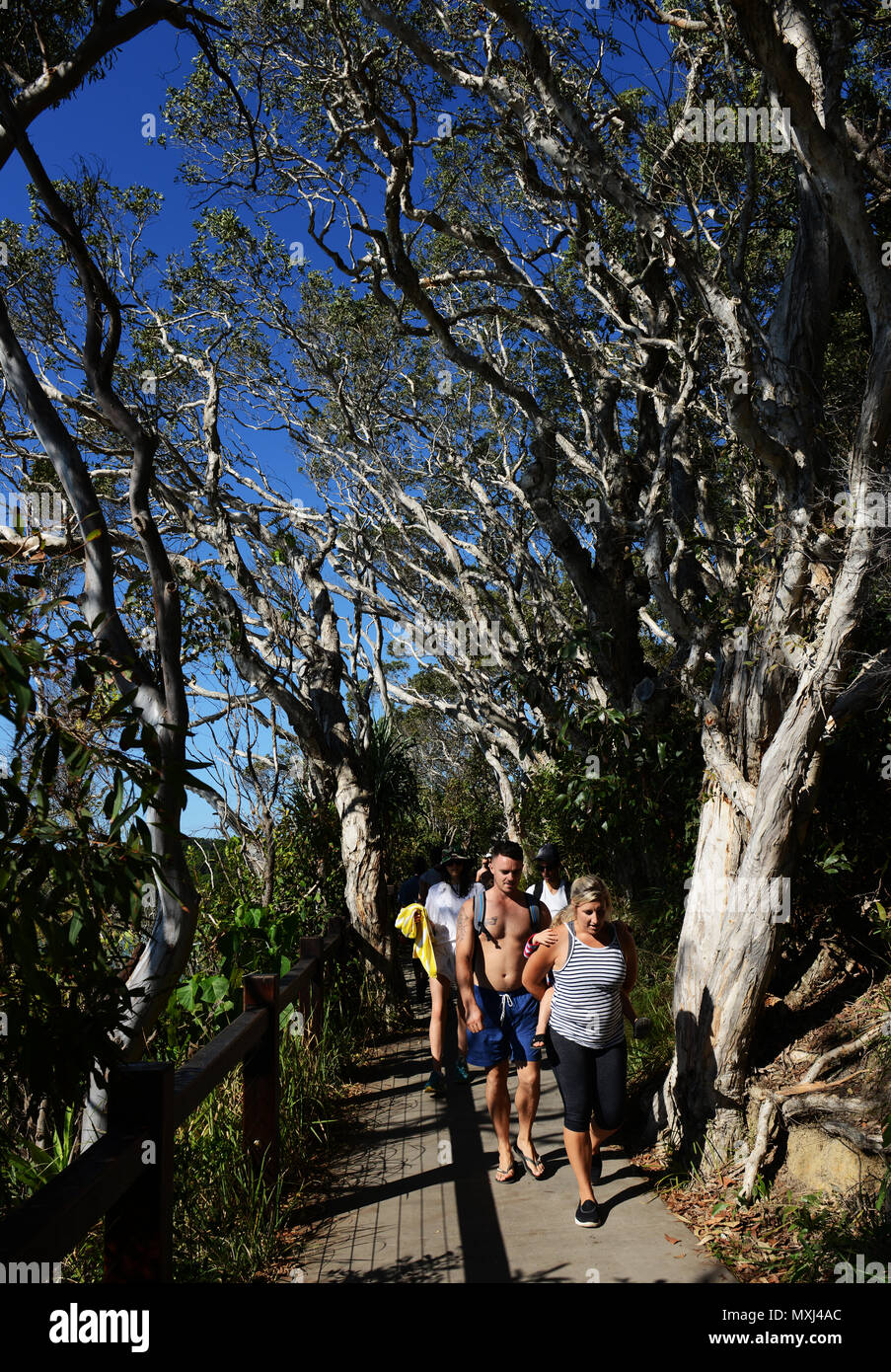 Gli escursionisti e surfers camminando sul sentiero costiero in Noosa national park in Queensland. Foto Stock