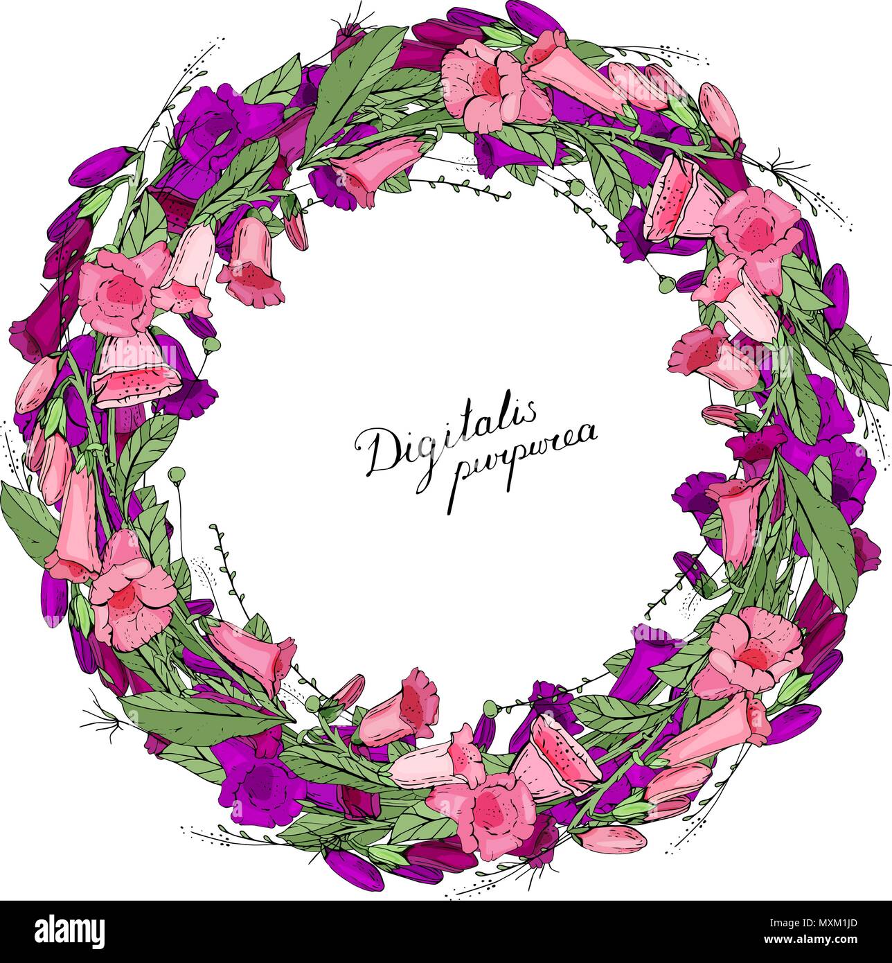 Cornice rotonda fatta di digitalis fiori. Cerchio di elementi floreali. Illustrazione Vettoriale
