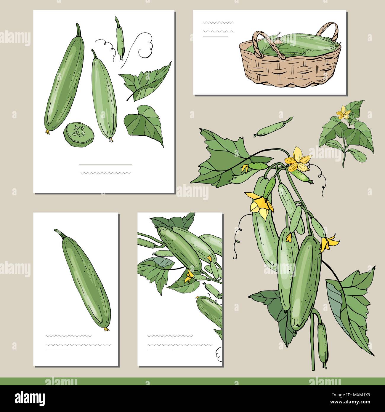Set di cetriolo con visitcards e modelli di messaggio di saluto Illustrazione Vettoriale