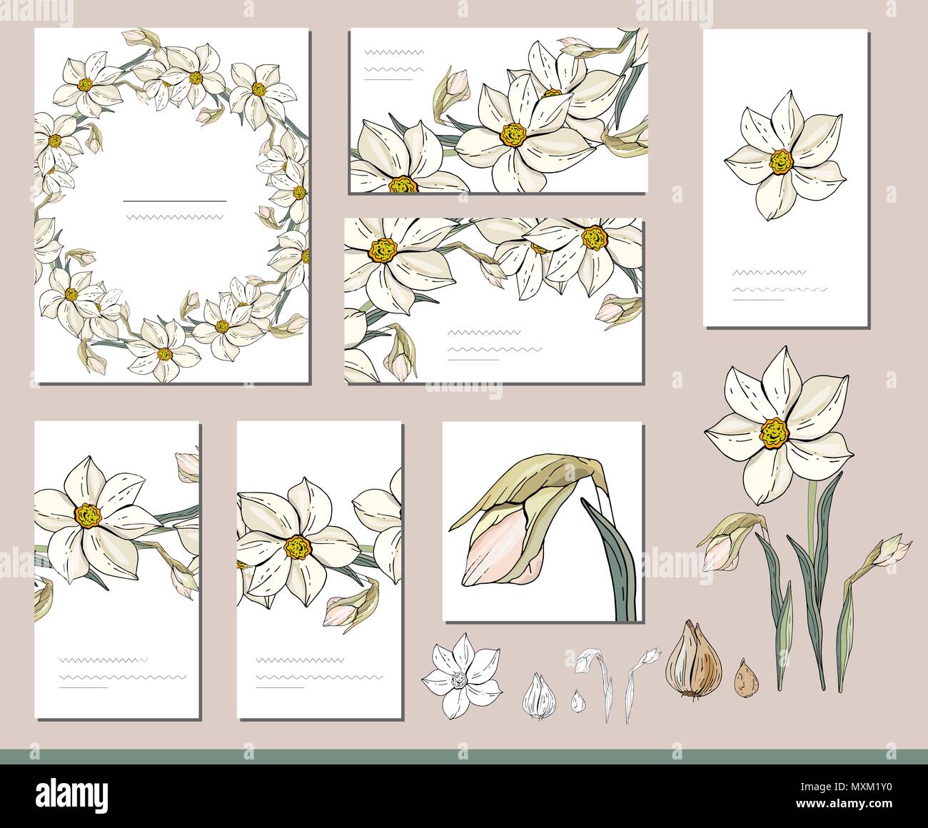 Daffodil impostato con visitcards e modelli di messaggio di saluto Illustrazione Vettoriale