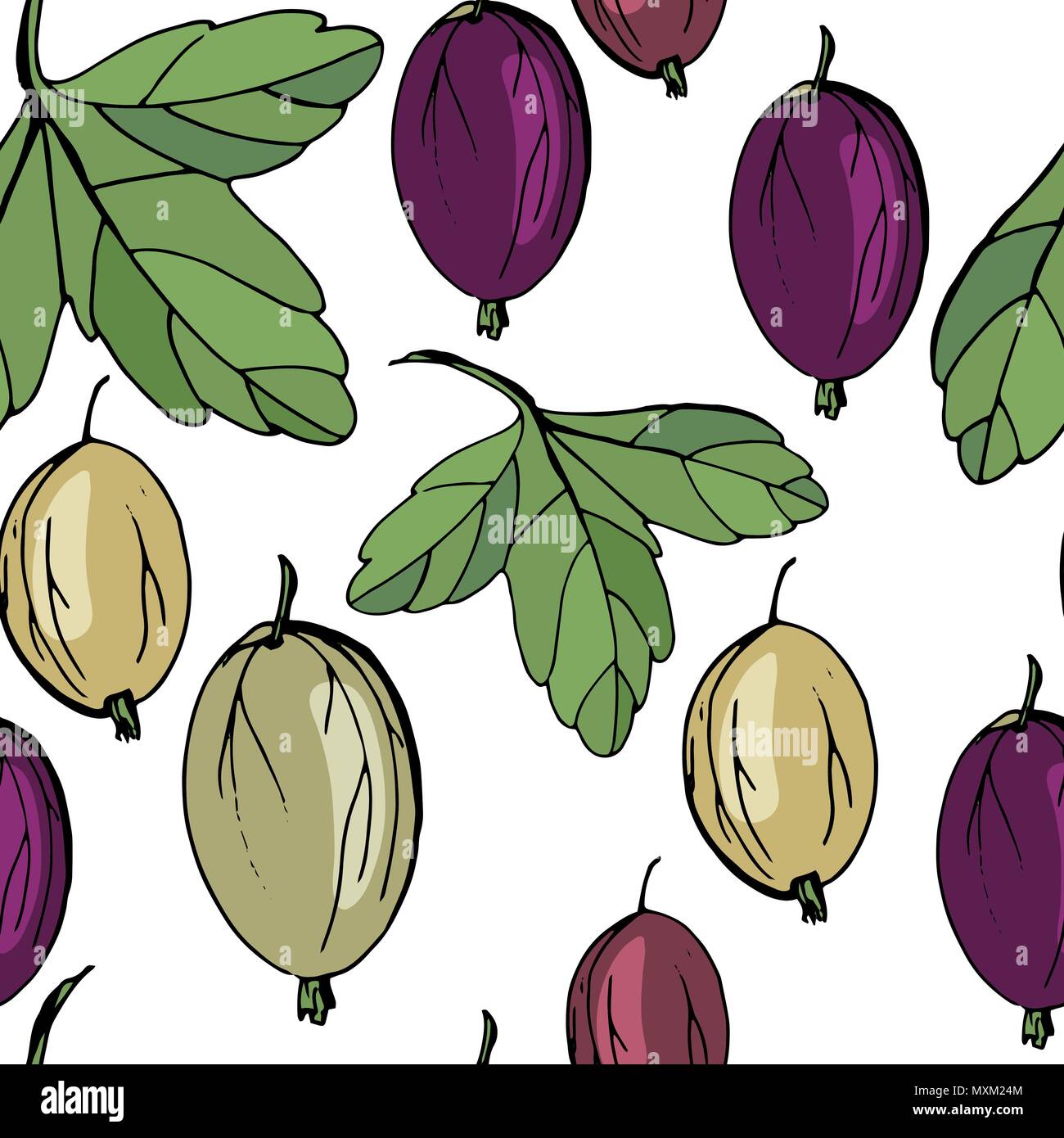 Seamless pattern con l'uva spina. Infinite texture con maturi acini gustosi Illustrazione Vettoriale