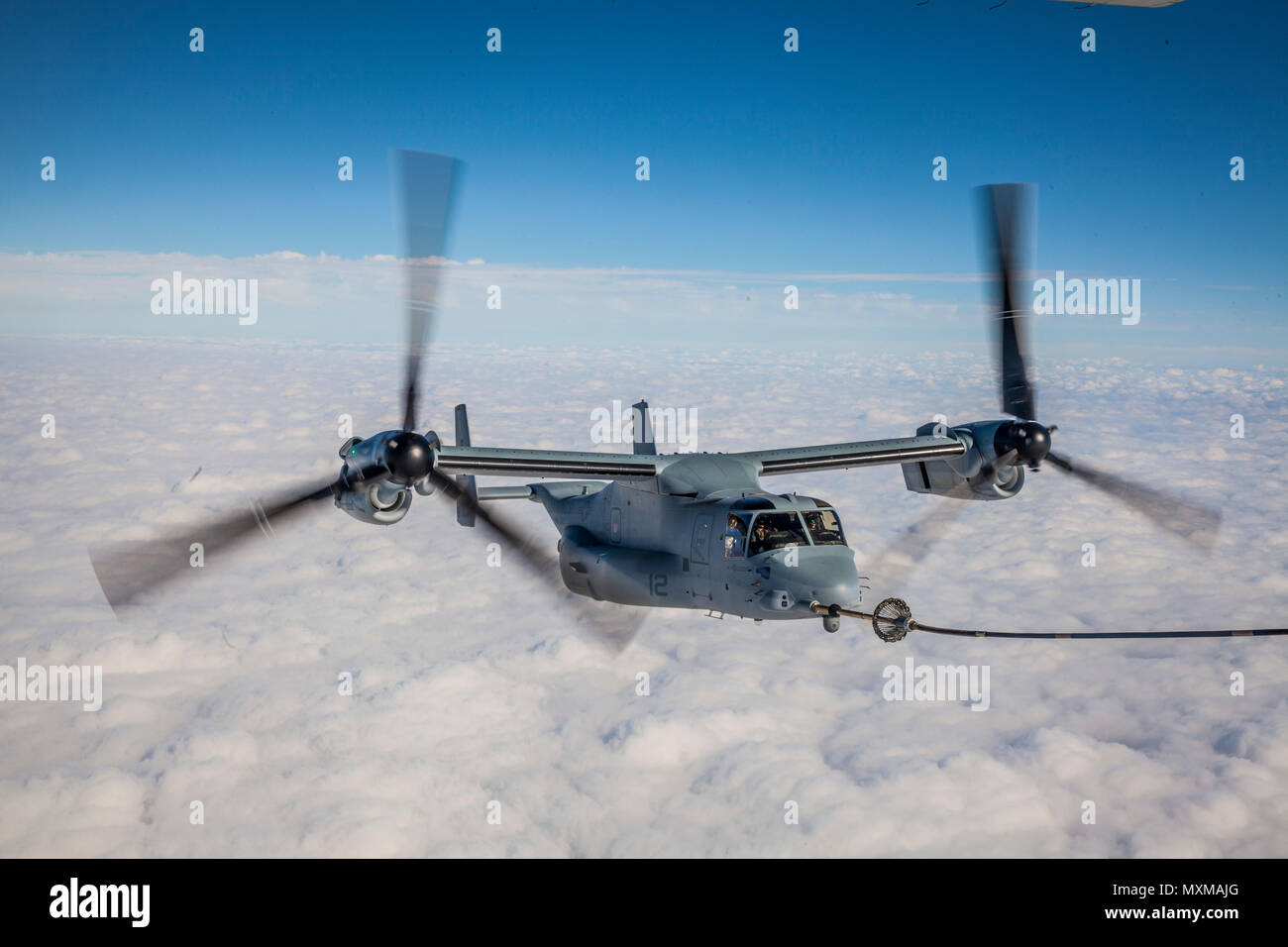 Un U.S. Marine Corps MV-22B Osprey assegnato a mezzo marino Tiltrotor Squadron (VMM) 365, conduce una antenna di fare rifornimento di carburante vicino a Marine Corps Air Station Cherry Point, N.C., nov. 15, 2016. Antenna Marine Refueler squadrone di trasporto 252 hanno partecipato a un'antenna il rifornimento di esercizio con VMM-365, Marine Tactical Electronic Warfare Squadron 3 e Marino squadrone di attacco 223 per mantenere l'operatività interservizi. (U.S. Marine Corps photo by Lance Cpl. Anthony J. Brosilow/rilasciato) Foto Stock