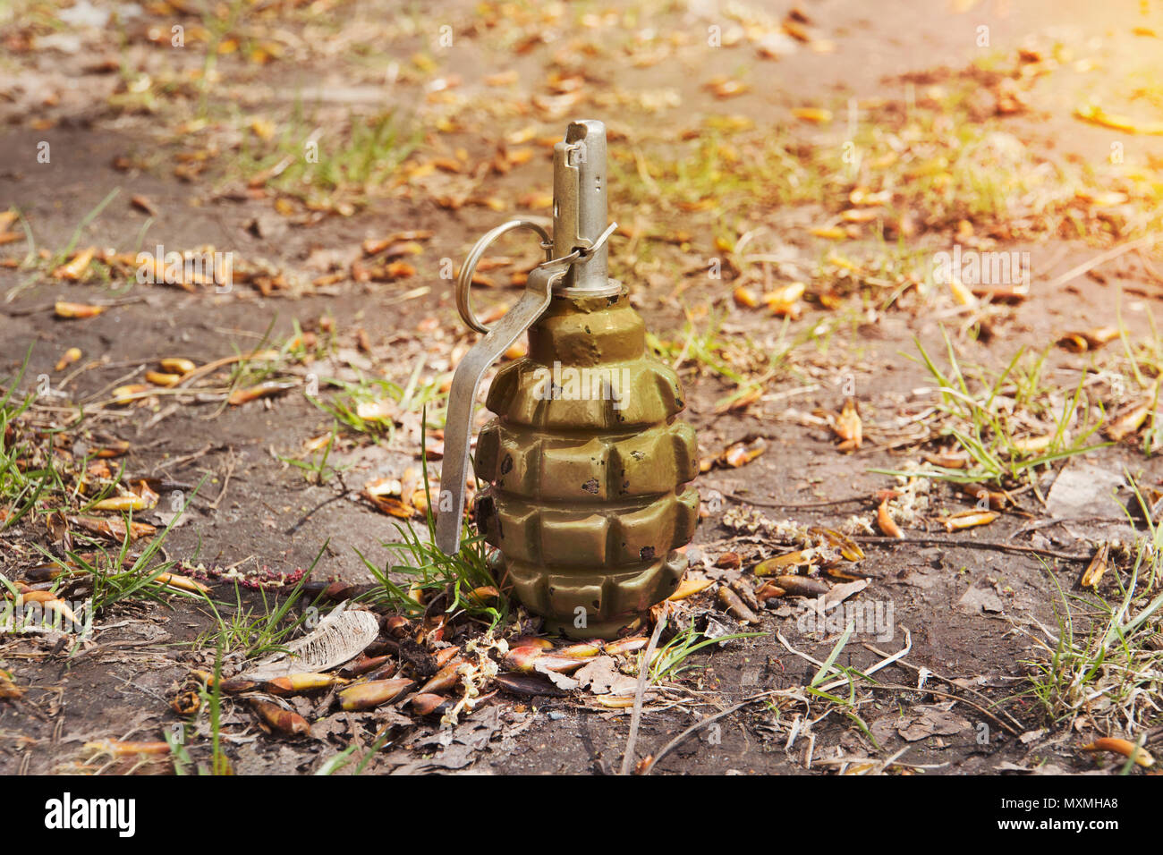 Granata giacente a terra. Hand Grenade F-1. abbandonata perso il melograno greenfragmentation granata. Foto Stock